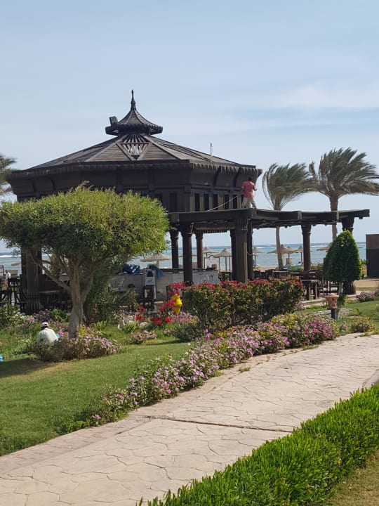 Beachbar Swisstouch Oriental Resort Marsa Alam