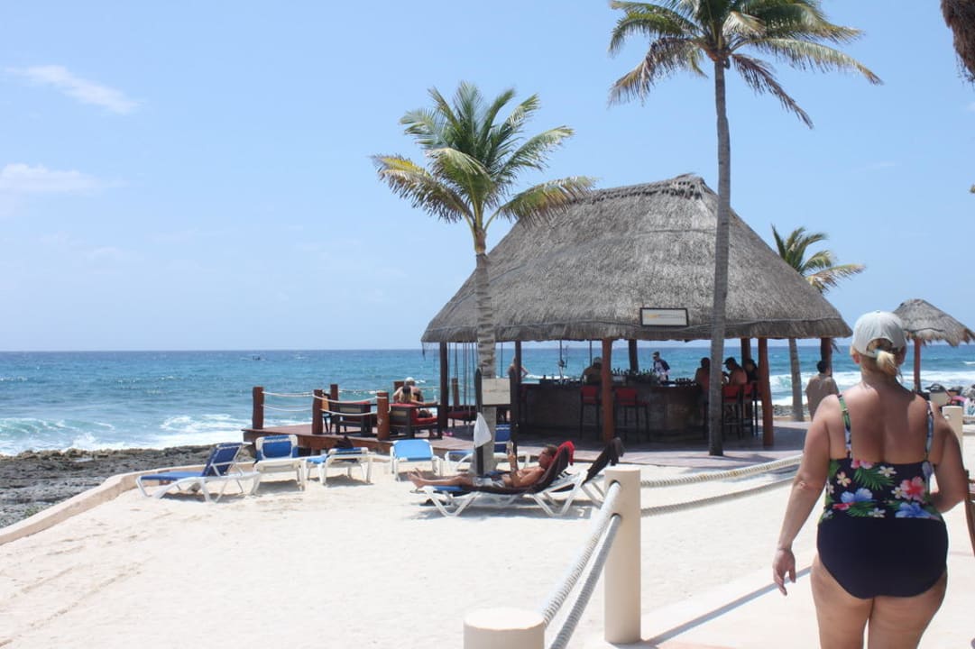 Barracuda-Bar Dreams Aventuras Riviera Maya