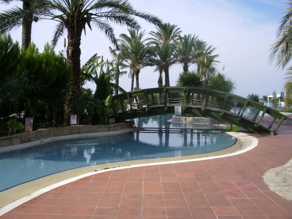 Einer von 4 Pools PALOMA Perissia