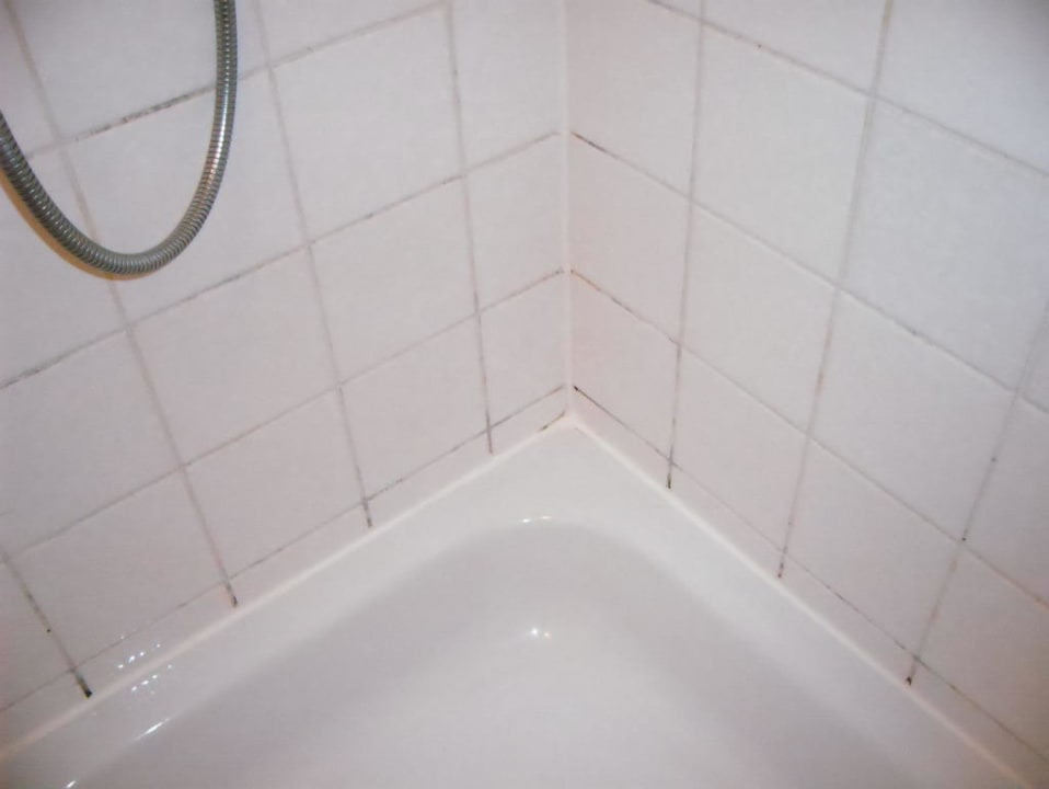 Schimmel in den Fliesenfugen Landhotel Harz