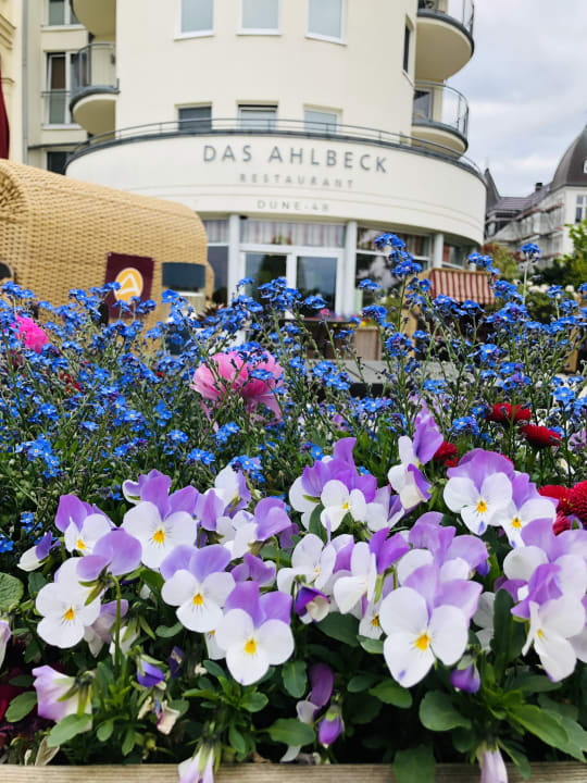 Außenansicht Das Ahlbeck Hotel & SPA