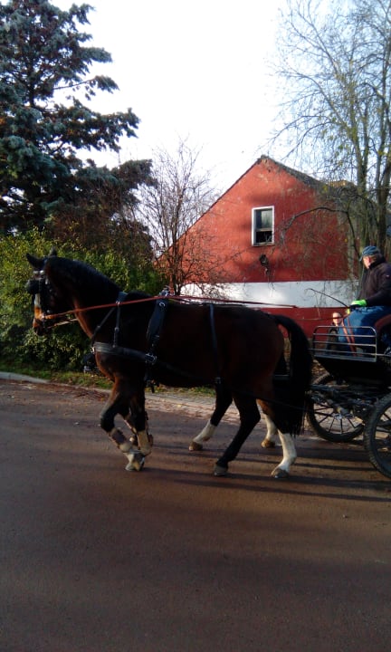 Sport & Freizeit Landhotel Harz