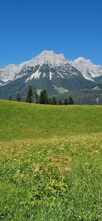 Ausblick Landhotel Garni Bavaria