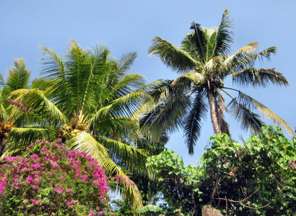 Nicks Hidden Cottages Hotel Nick's Hidden Cottages