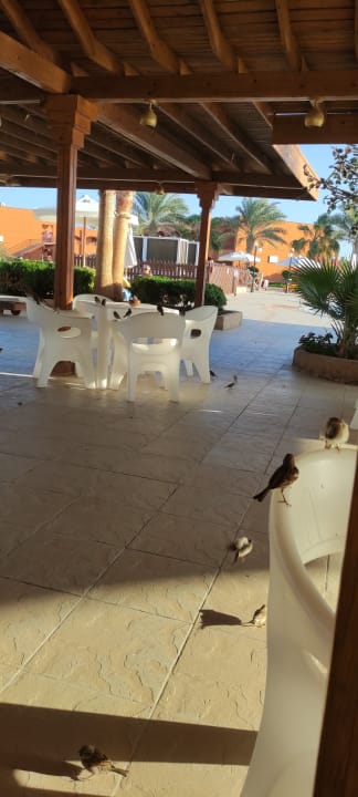 Gastro Three Corners Happy Life Beach Resort