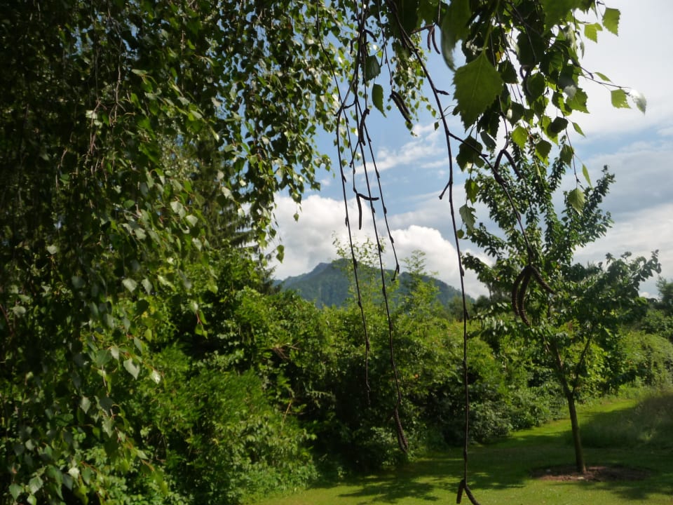 Blick vom Hotelgarten im Sporthotel Achental Das Achental Resort