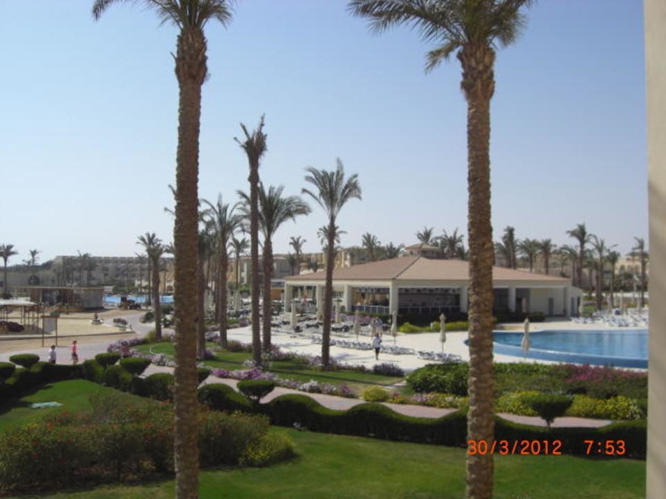 Pool Bar - Die Nachtaktive ab Ende März Cleopatra Luxury Resort Makadi Bay