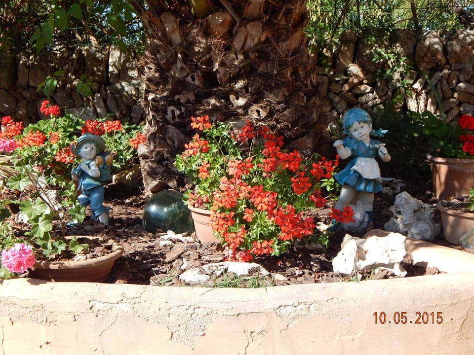 Sehr schön angelegt mit viel Liebe zum Detail Finca Son Marimon