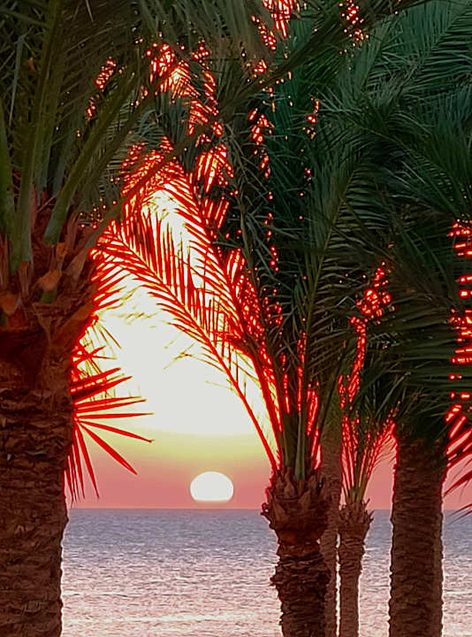 Sonstiges Grand Makadi