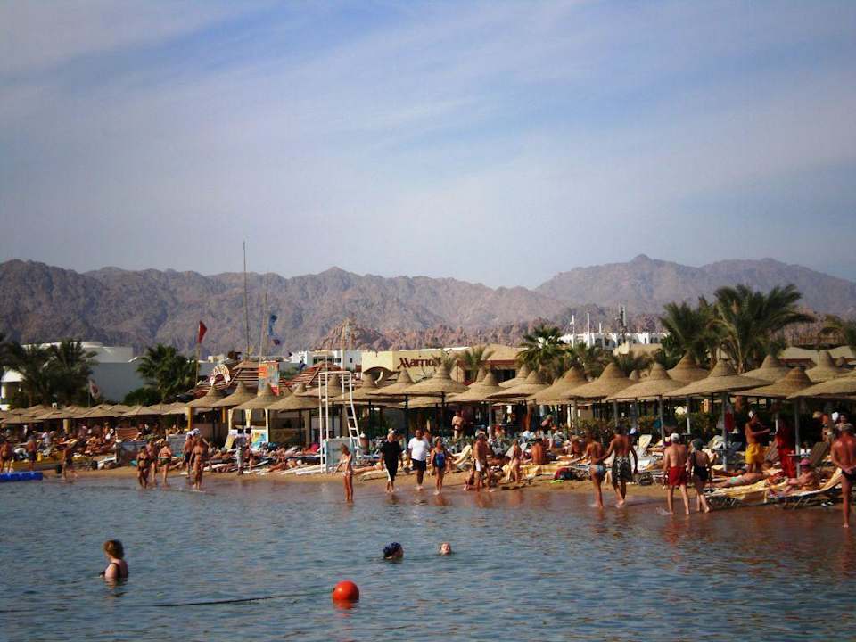 Plaża hotelu amarante Hotel Amarante Garden Palms Resort