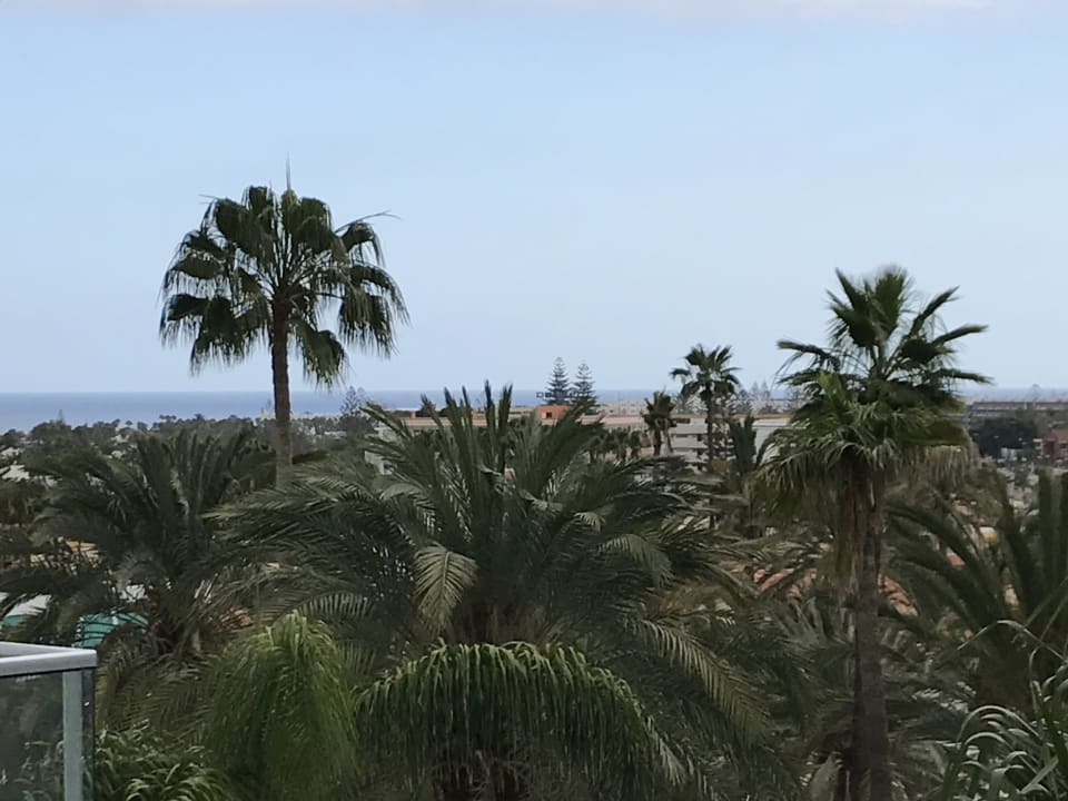 Ausblick Hotel Riu Papayas