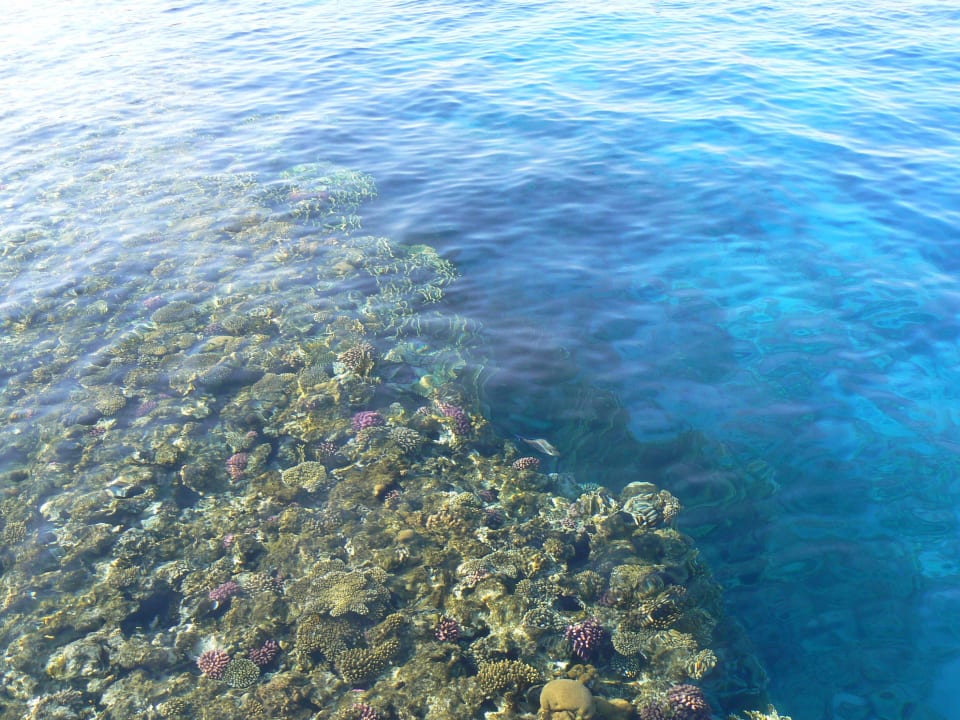 Meer Sultan Gardens Resort