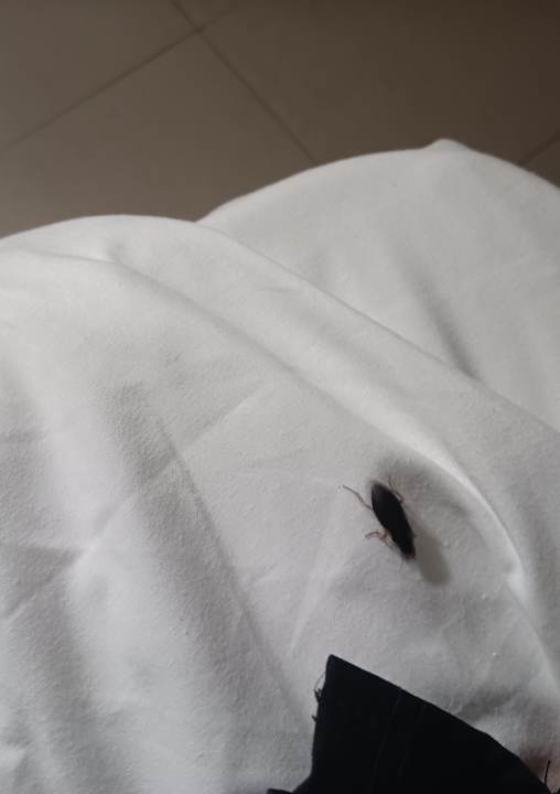 Zimmer Ahoi! Urban Beach Hotel