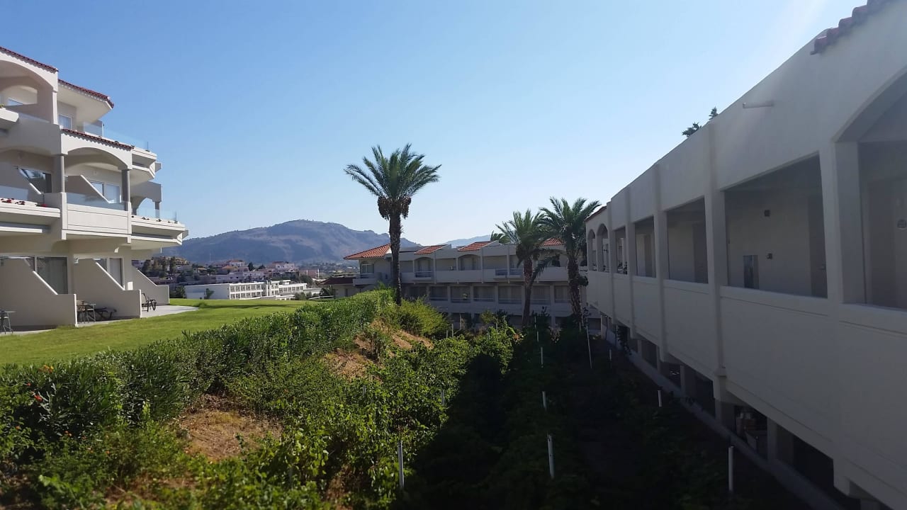 Weintrauben zwischen den Gebäuden Rodos Princess Beach Hotel & Spa