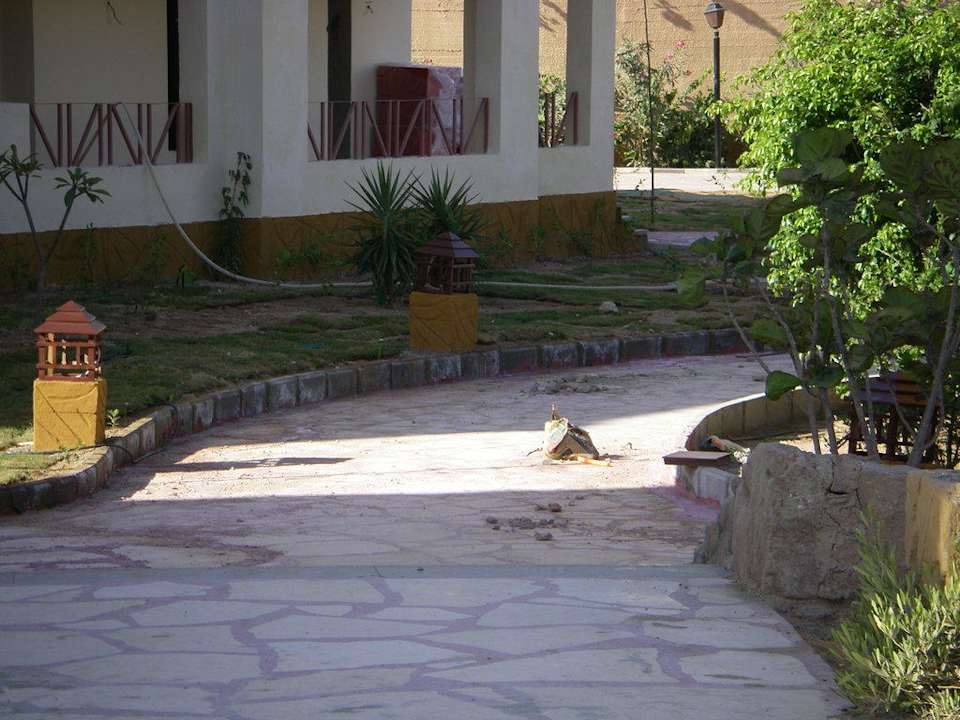 Baustelle im Innenbereich des Hotels! Regency Plaza Aqua Park & Spa