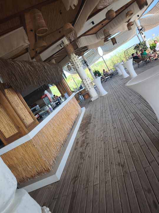 Strand Seashell Vega