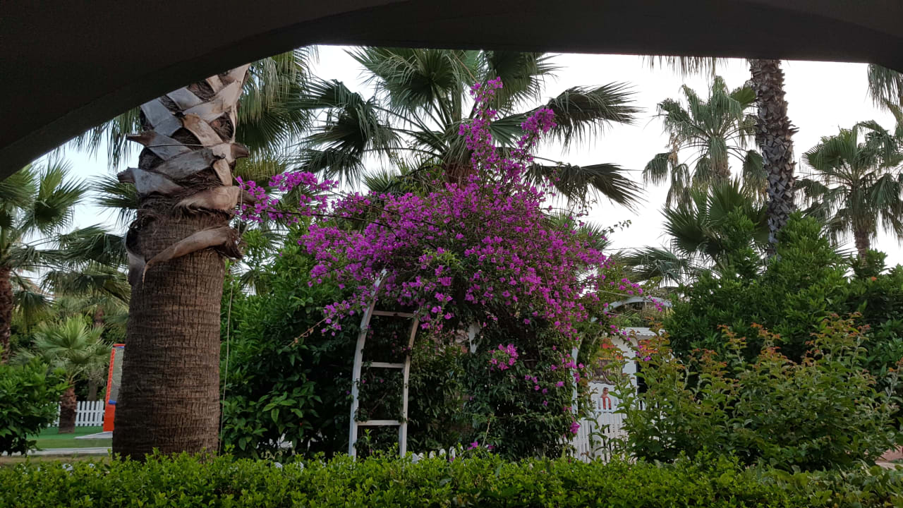 Gartenanlage Hane Family Resort