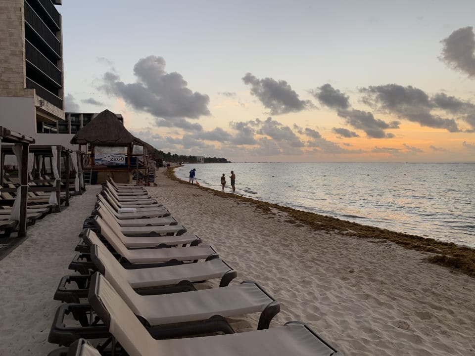 Strand Hyatt Vivid Playa del Carmen - Adults only