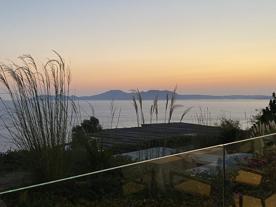 Ausblick ROBINSON DAIDALOS