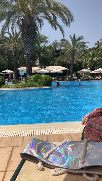 Pool Side Star Elegance