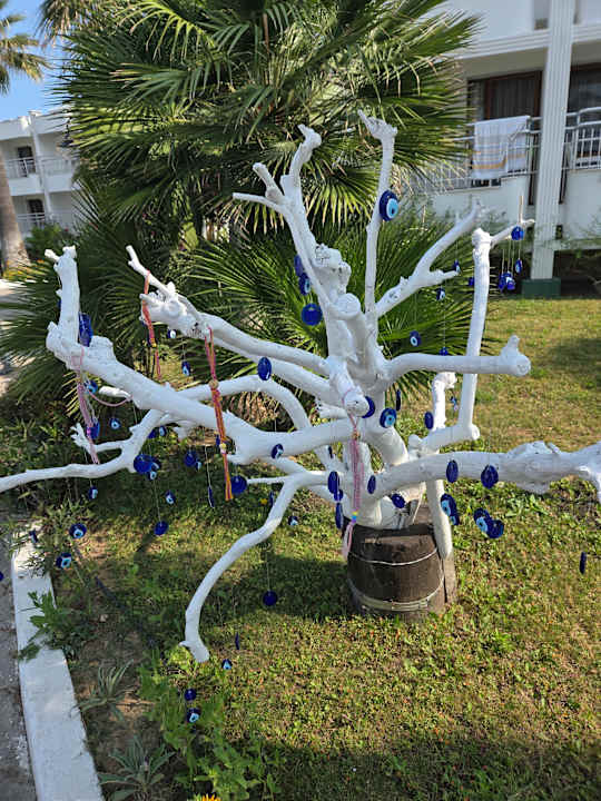 Außenansicht Labranda Lebedos Princess