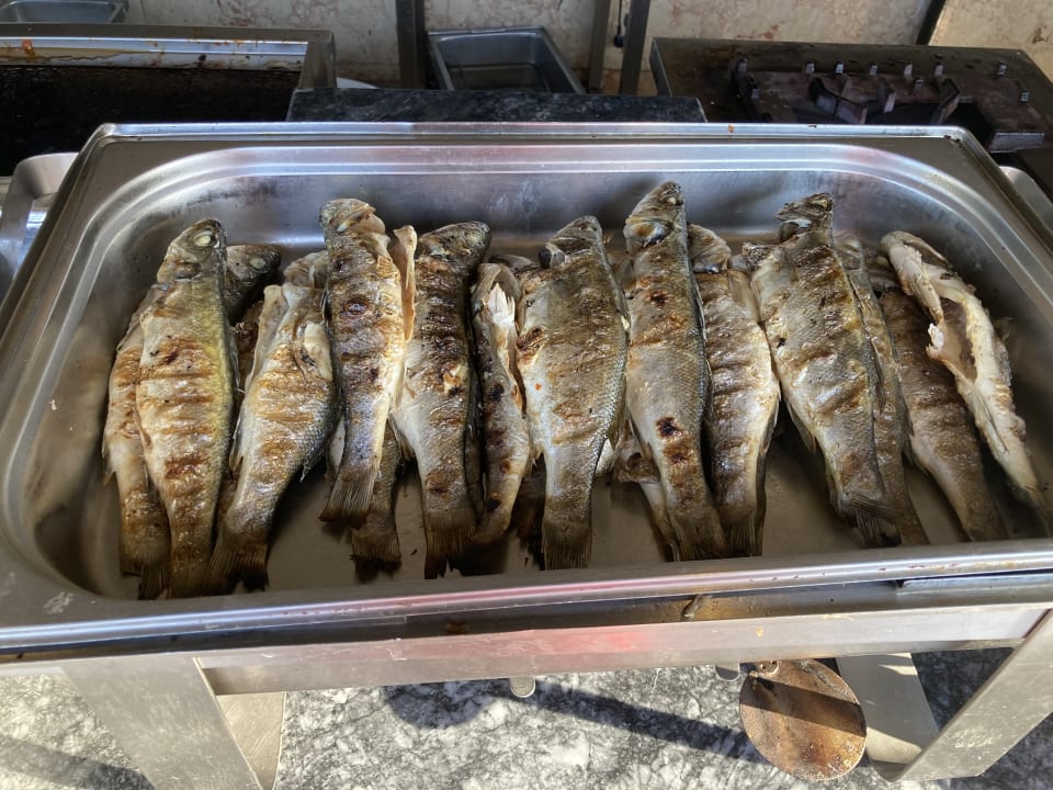 Gastro Asteria Family Resort Side