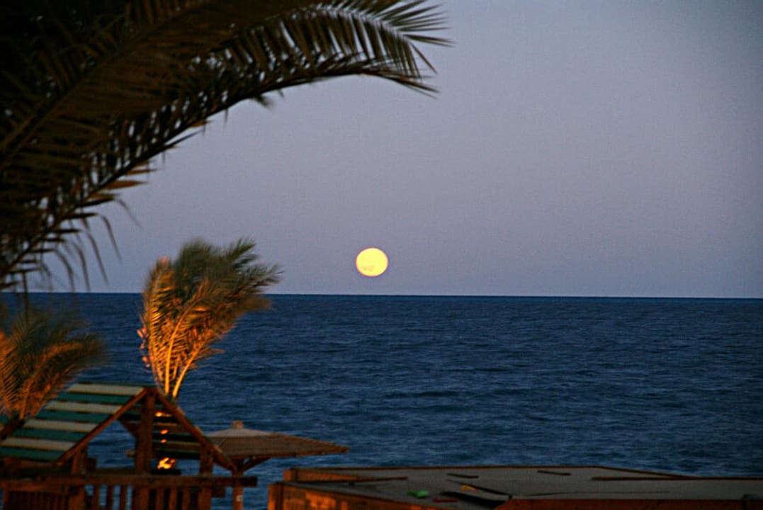 Widok z tarasu  hotelu godz 17 Palm Beach Resort