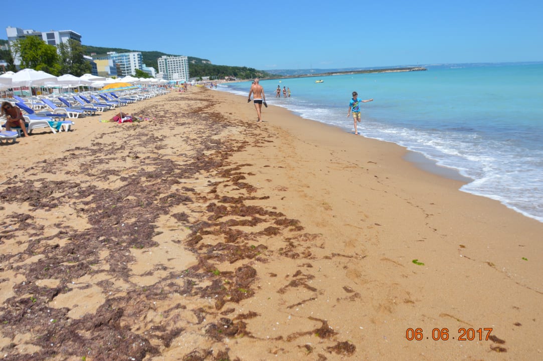 Strand GRIFID Aqua Club Bolero