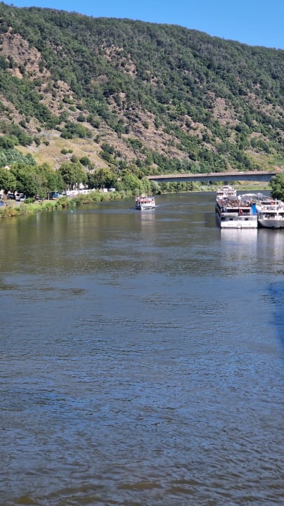 Ausblick Moselstern Hotel Brixiade & Triton