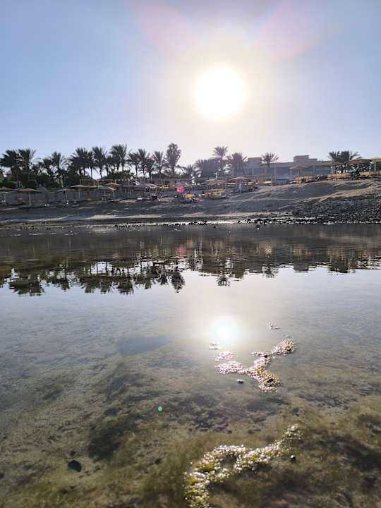 Strand Serenity Alpha Beach