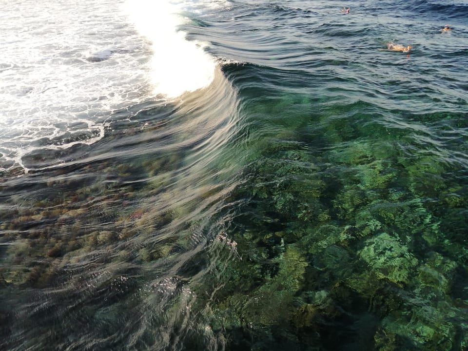 Strand Pickalbatros Oasis Hotel - Port Ghalib