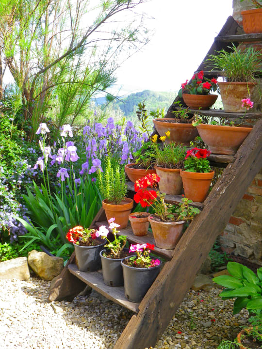 Gartenanlage Ventena Vecchia antico frantoio