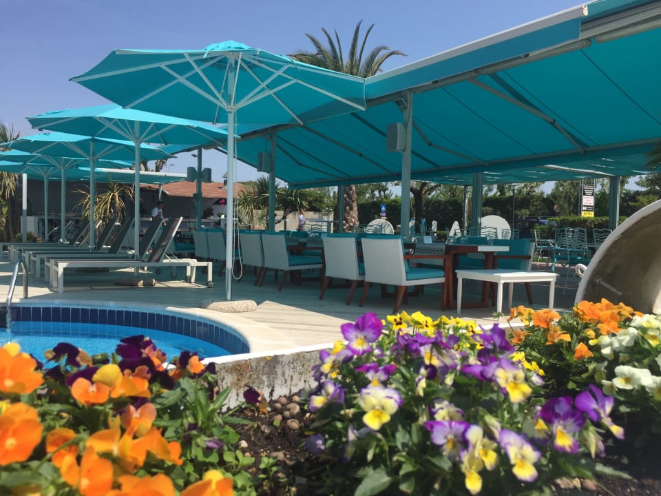 Gastro B&B Hotel Chioggia Airone