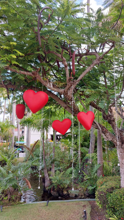 Gartenanlage Grand Palladium Select Bávaro Resort & Spa