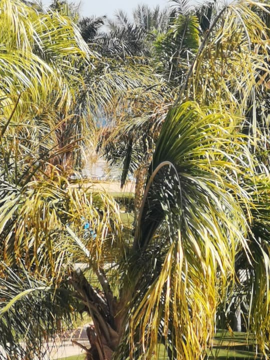 Ausblick Stella Beach Resort & Spa Makadi Bay