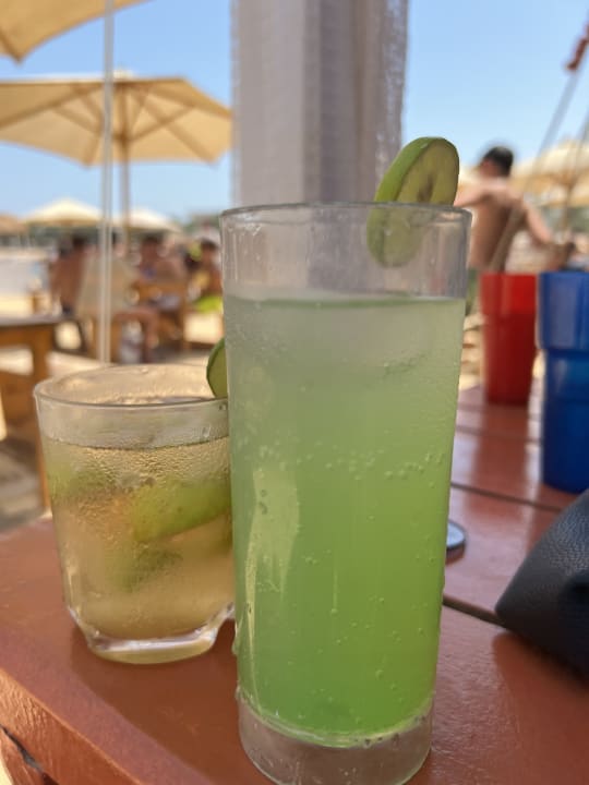 Sonstiges Desert Rose