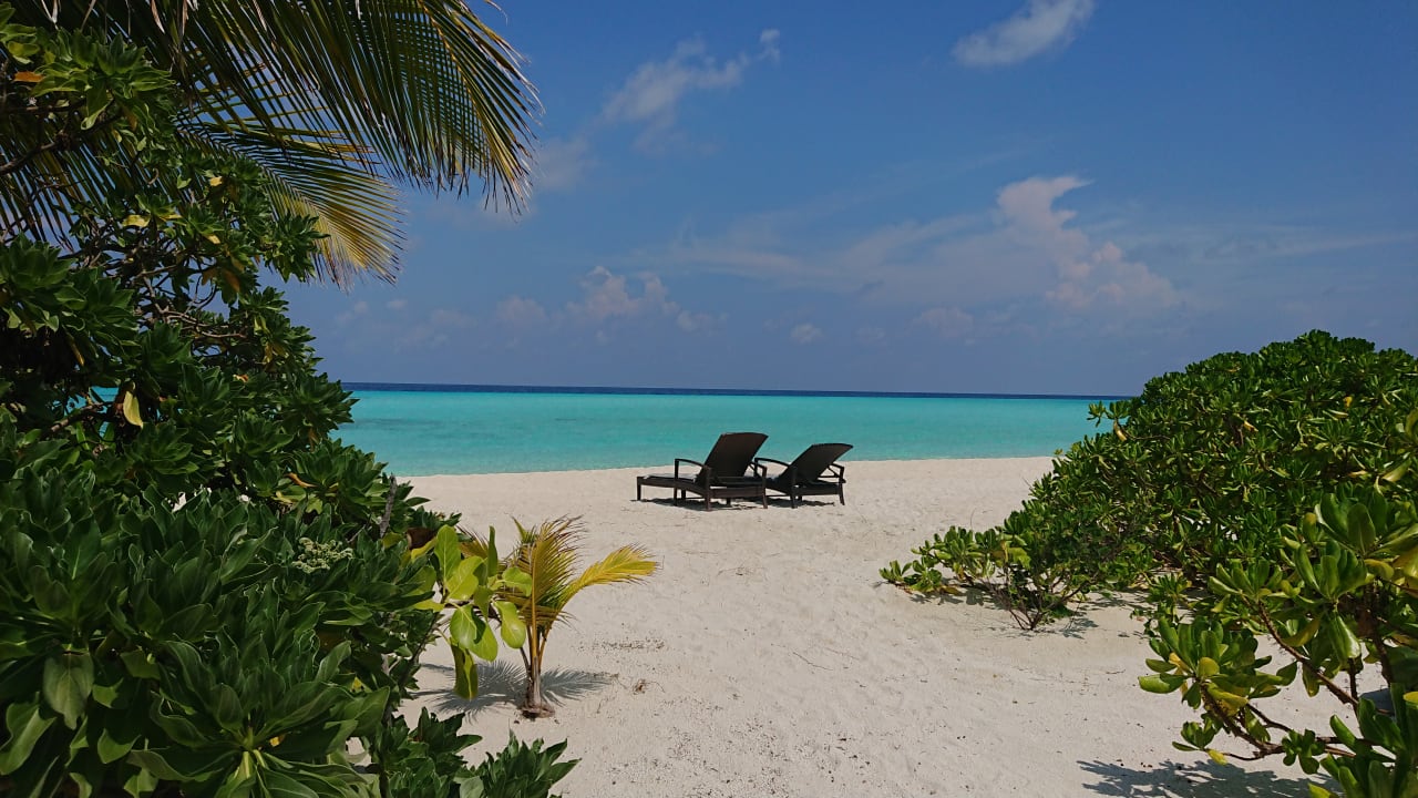 Strand Summer Island Maldives