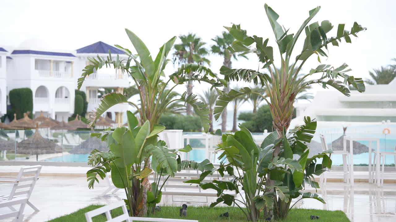 Gastro Royal Tulip Taj Sultan