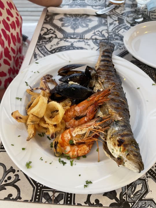 Gastro Porto Bello Royal