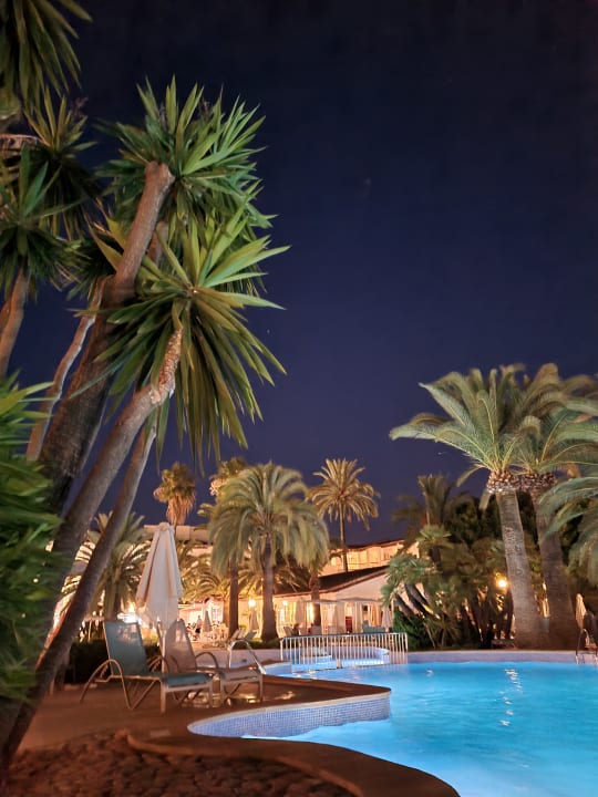 Pool Alcudia Garden Aparthotel