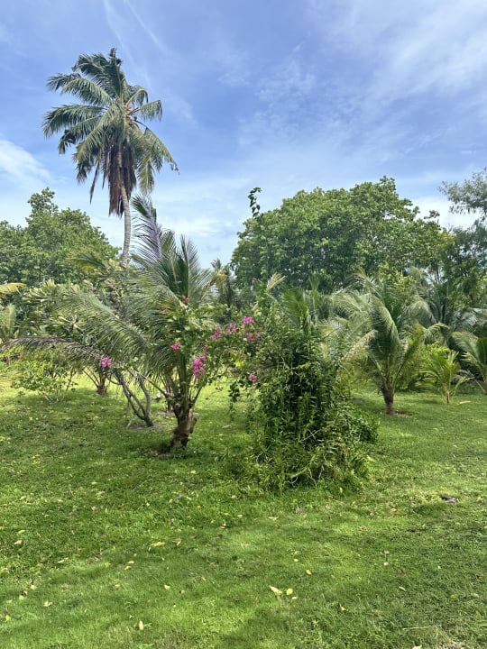 Gartenanlage Villa Park Sun Island