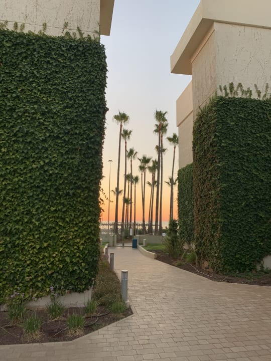 Gartenanlage Hipotels Mediterraneo Club