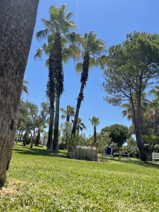 Gartenanlage Süral Saray Hotel