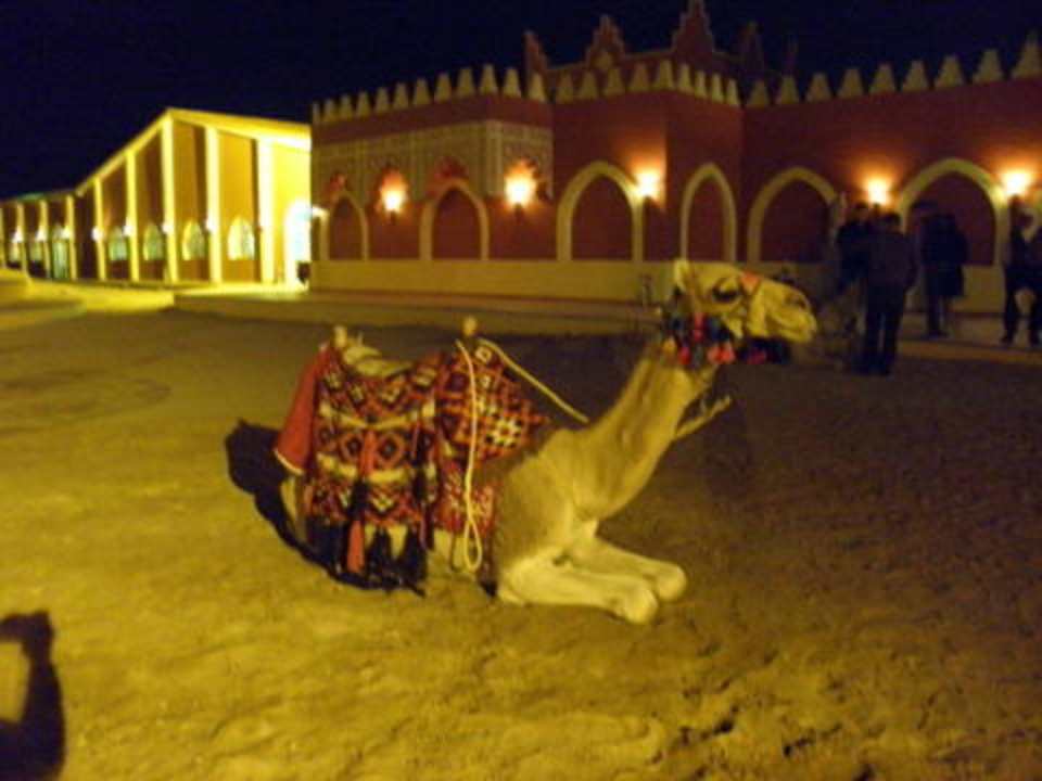 Ali-baba Pickalbatros Alf Leila Wa Leila Resort - Neverland Hurghada