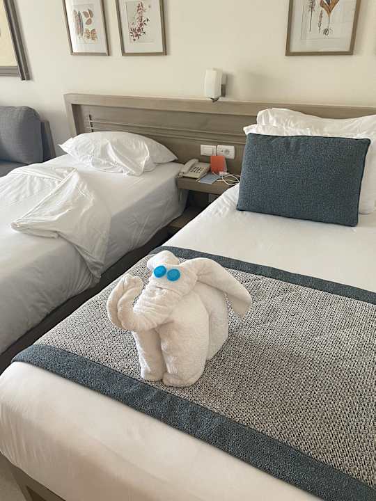 Zimmer Iberotel Casa Del Mar Resort