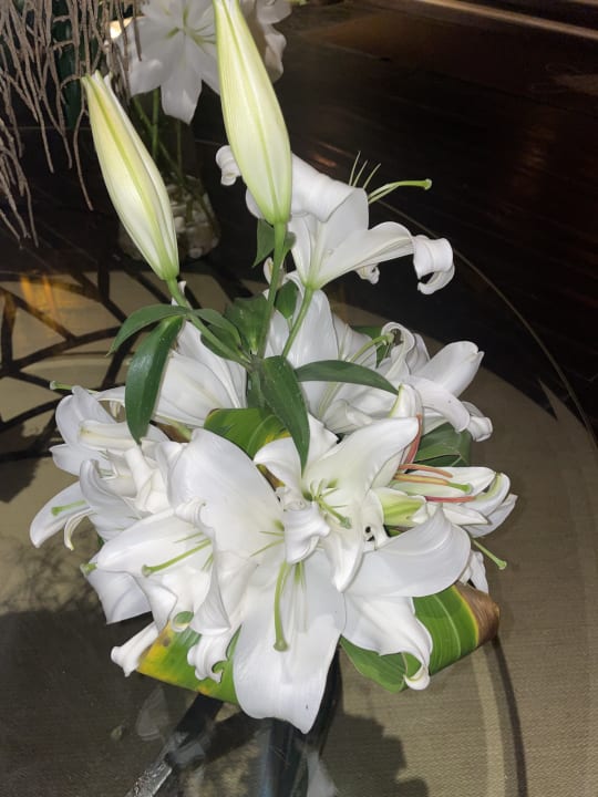 Lobby Akumal Bay Beach & Wellness Resort