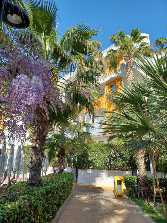 Gartenanlage Hane Family Resort