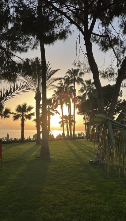 Ausblick Acanthus Cennet Barut Collection