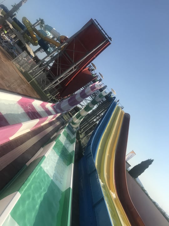 Sport & Freizeit Globales Bouganvilla