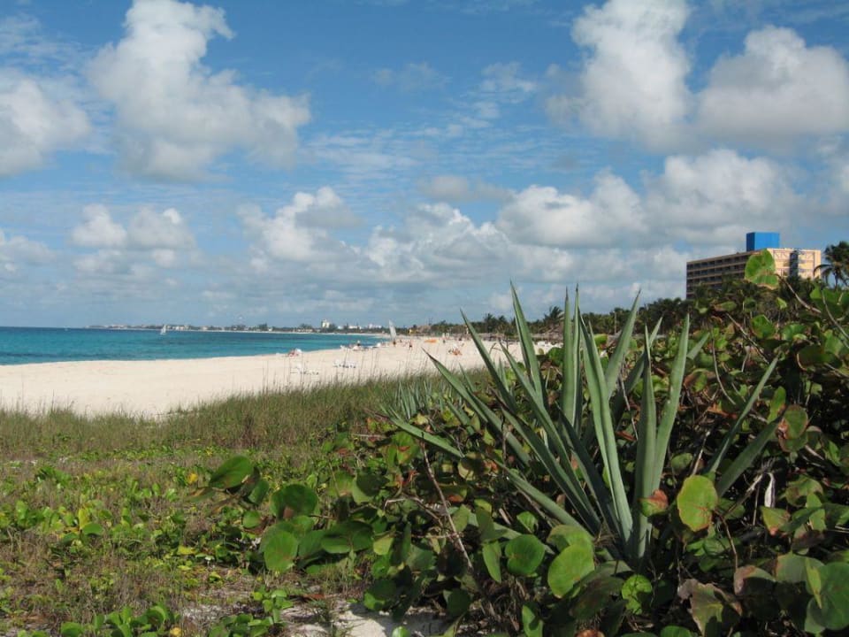 Strand mit Hotel Hotel Puntarena Playa Caleta